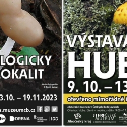 Jihočeské muzeum pořádá tradiční podzimní výstavu hub