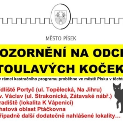 V Písku se budou odchytávat a kastrovat toulavé kočky, Zprávy z Jihočeského kraje, Zprávy Jihočesko, Město Písek