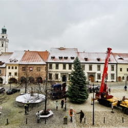 V Prachaticích na náměstí již stojí vánoční strom