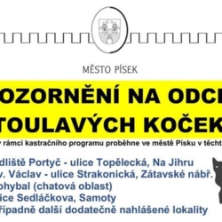 Město Písek chystá jarní odchyt toulavých koček a jejich kastraci, Zprávy z Písku, Zprávy z Jihočeského kraje, Zprávy Jihočesko