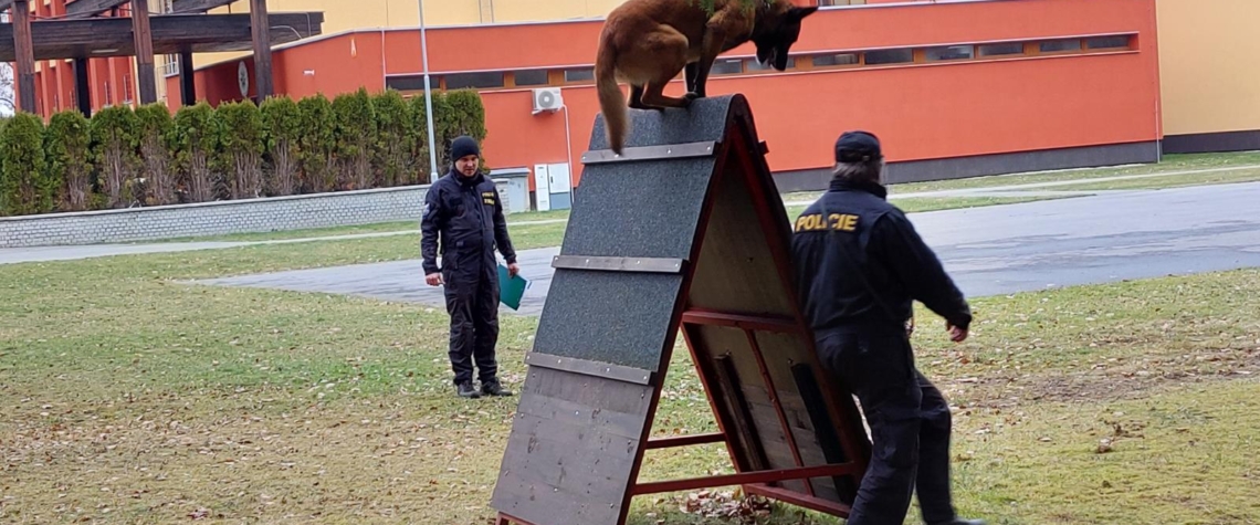 Přebor Jihočeského kraje ve služební kynologii