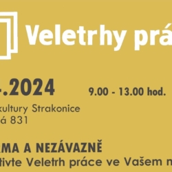 veletrh práce ve Strakonicích