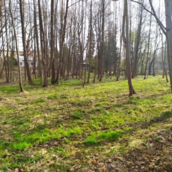 Novostavba zemních tůní nedaleko Radouňky zvýší biodiverzitu lokality