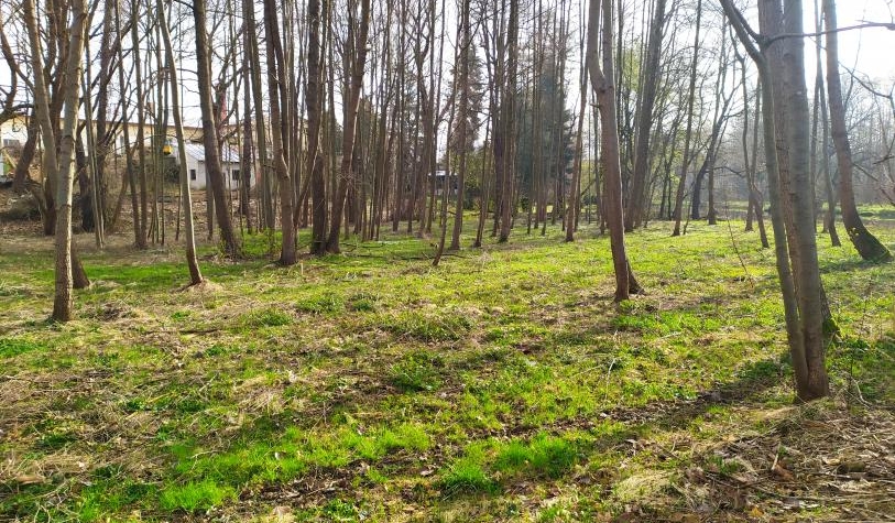 Novostavba zemních tůní nedaleko Radouňky zvýší biodiverzitu lokality