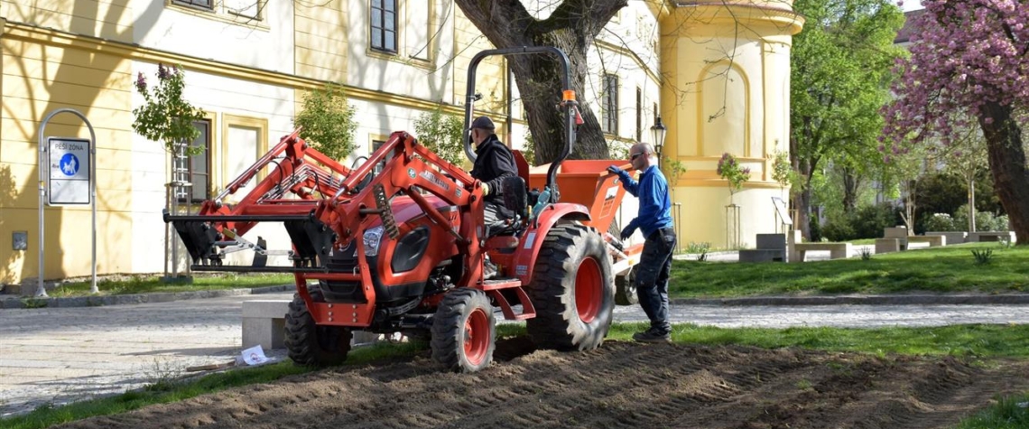 Písek: Zahradníci vysadili téměř 17 000 hlíz lilií.