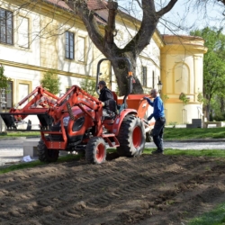 Písek: Zahradníci vysadili téměř 17 000 hlíz lilií.