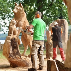 Dřevosochařské sympozium v ZOO Hluboká