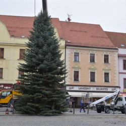 Velké náměstí v Písku už zdobí vánoční strom