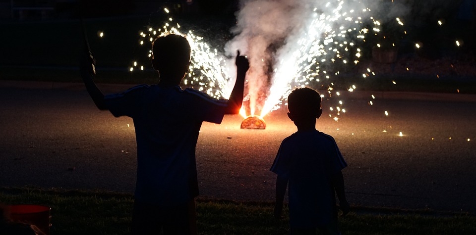 Používání pyrotechniky na Silvestra a jak chránit zvířata