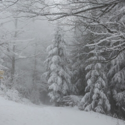 U šumavské Kvildy ráno naměřili minus 17,5 st. C.