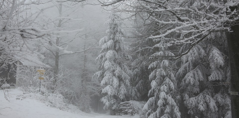 U šumavské Kvildy ráno naměřili minus 17,5 st. C.