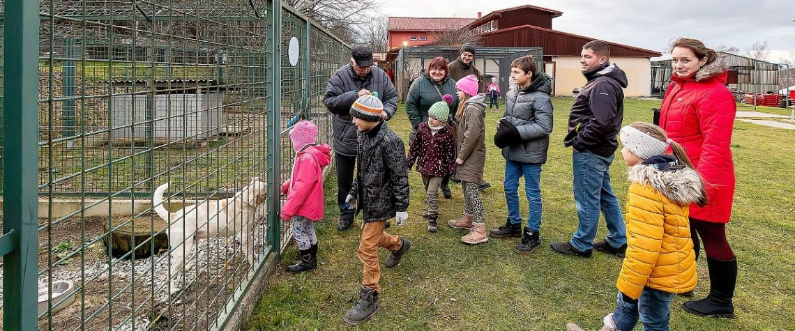 Rok 2024 v psím útulku Český Krumlov