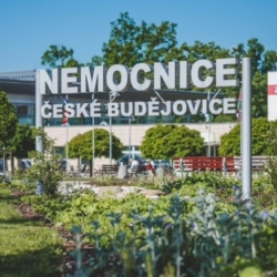 Českobudějovičtí neurochirurgové bodují ve světě