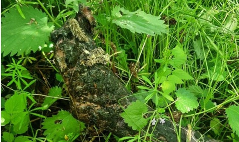 Kriminalistický technik vyjížděl k nálezu lidské nohy