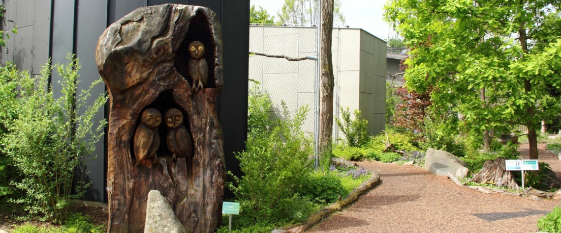 Zoo Hluboká slaví úspěch: Expozice Sovinec získala titul Stavba roku 2024