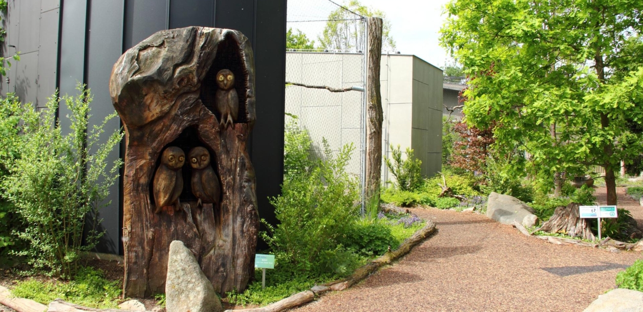 Zoo Hluboká slaví úspěch: Expozice Sovinec získala titul Stavba roku 2024