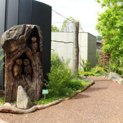 Zoo Hluboká slaví úspěch: Expozice Sovinec získala titul Stavba roku 2024