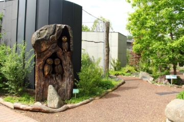 Zoo Hluboká slaví úspěch: Expozice Sovinec získala titul Stavba roku 2024