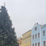 Město Jindřichův Hradec hledá vánoční strom
