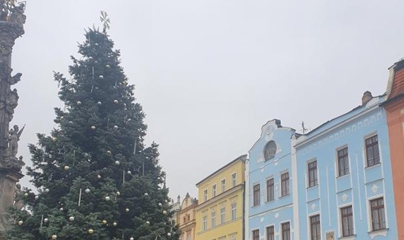 Město Jindřichův Hradec hledá vánoční strom