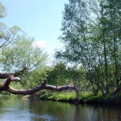 Vodáci mají na Teplé Vltavě stopku