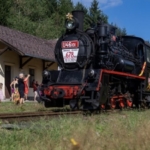 Gepard Express chce rychle obnovit provoz úzkokolejek